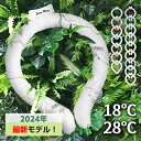 ★5/10～3%OFFクーポン★＼楽天1位＆20