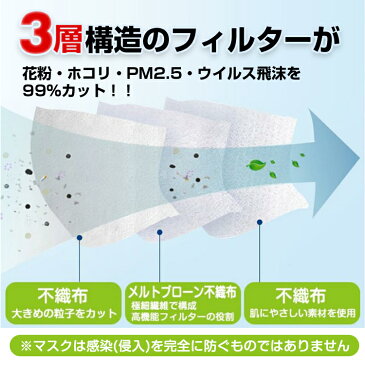 即納 在庫あり【送料無料】箱 マスク 50枚入り 使い捨て メルトブローン 不織布 男女兼用 ウィルス対策 ますく ウイルス 防塵 花粉 飛沫感染対策 インフルエンザ 風邪 日本国内発送 ☆ご注文から1〜3営業日で出荷 ny264