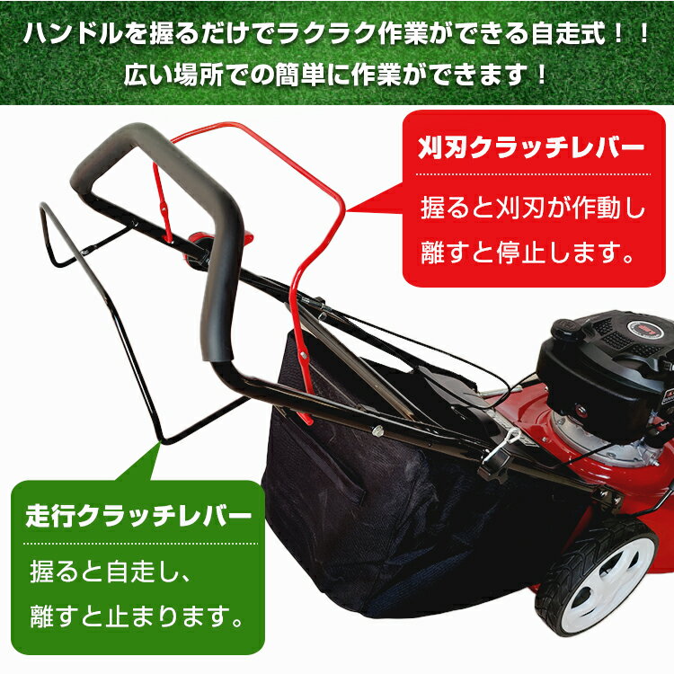 �ڴ��֡����̸��ꥯ���ݥ�� ��1ǯ�ݾڡ�DIY �������Ǵ��굡 ������ 6���� ���󥸥� �𴢵� �Ǵ��� ��ʧ�� �𴢤굡 ��ʧ���� ���� �����ǥ˥� �� ���� �����ǥ˥󥰵��� ��û ����ѥ��� ������ �� ���� Ȫ �����ڱ� ���� DIY ���饦��� ��ñ Ķ�緿 ny462