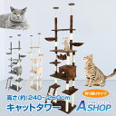 ☆最大半額クーポン!先着5/16迄☆【送料無料】キャットタワー 突っ張り スリム 省スペース おしゃれ キャットツリー キャット タワー 猫タワー 爪研ぎ 多頭...