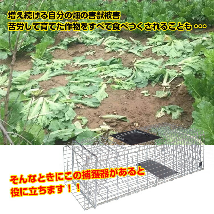 【送料無料】 DIY 捕獲器 動物 かご 金網 野生 踏み板式 Mサイズ 折りたたみ 全長6...