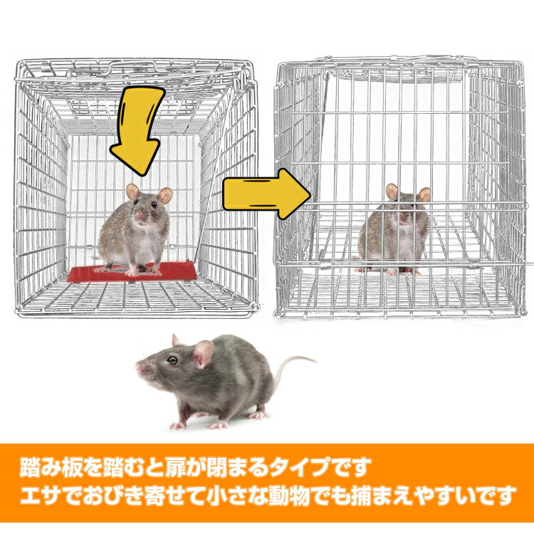 【送料無料】 DIY 捕獲器 動物 かご 金網 野生 踏み板式 Mサイズ 折りたたみ 全長6...