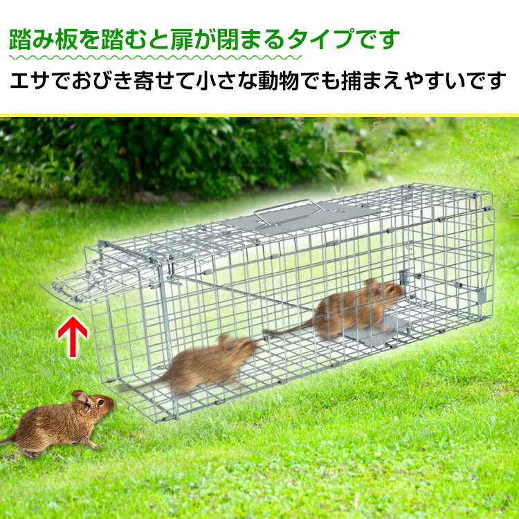 「6/1(月)24Hクーポン」【送料無料】 DIY 捕獲器 踏み板式 Sサイズ かご 金網 野生...