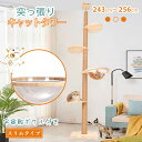 ☆最大半額クーポン!先着5/16迄☆【送料無料】 キャットタワー 木製 突っ張り スリム オールシーズン素材 宇宙船ボウル キャットツリー 猫タワー 省スペース...