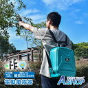 ☆8/20迄!限定最大15%OFFクーポン☆【送料無料】 噴霧器 電動 充電式 背負い式 バッテリー式 充電器付 コードレス 12L ノズル4種付 除草剤 農薬 園芸 消毒 洗車 肩パッド 軽量 静音 飛散防止カバー 充電式農業園芸ツール 高圧噴霧噴霧器ツール 背負い 連続自動噴霧 sg204