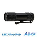 ☆★5/5迄店内全品P5倍★☆【送料無料】 LEDライト 紫外線 懐中電灯型 ブラックライト led ハンディライト 見える 掃除 トイレ ペット 釣り 宝石鑑定 ジェルネイル硬化 汚れ確認 プロ zk173