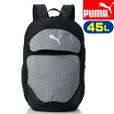 PUMA プーマ バックパック TEAMFINAL 079267 スポーツ ブランド デイパック 大型 リュック ユニセックス 45L ジム トレーニング(4)