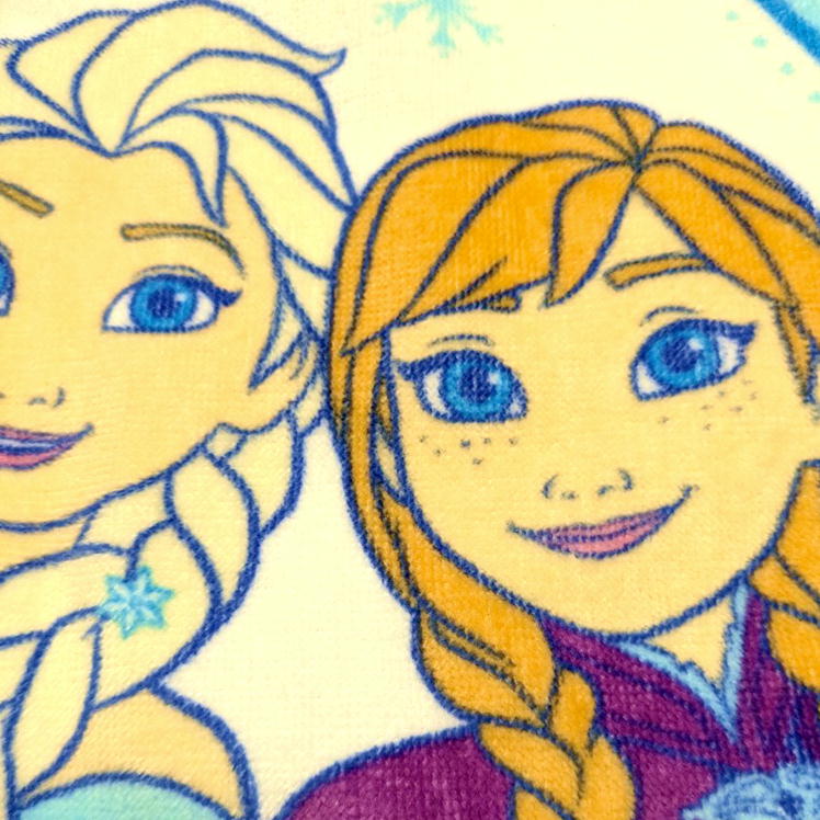 アナと雪の女王 プリンシプル お昼寝ケット ディズニー プリンセス キャラクター タオルケット 85×115cm 林 O4601 KO460100 マルチタオル ブルー [3]