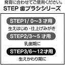 プリンセス 歯ブラシ クリア 子供用 キャップ付 3本セット ディズニー キャラクター スケーター 園児用 TBCR5T 3