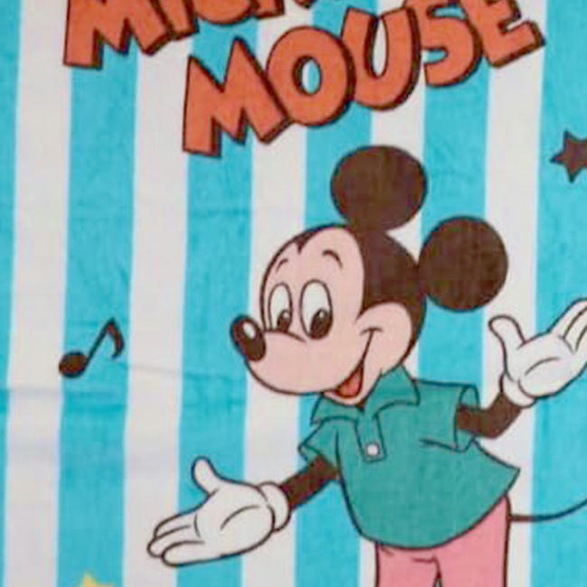 ���뿲���å� �ߥå����ޥ��� �ϥ����ߥ塼���å� �����륱�å� �Ҷ��� ���� 85��115cm �ǥ����ˡ� ����饯���� ���å� ���ݲù�