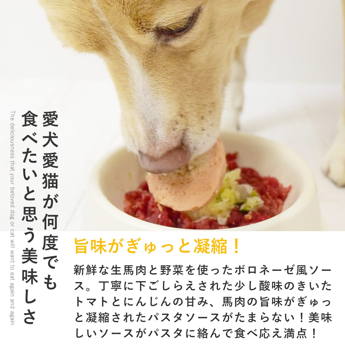 手作りご飯 馬肉たっぷりボロネーゼ風6個セット 【冷凍】 消化に優しい 柔らかい 低脂肪 栄養補給 低リンで腎臓に優しい シニア犬 パピー犬 高齢犬 冷凍ドッグフード フレッシュドッグフード おせち 代わり 正月 ごちそう ashu-10009856 帝塚山ハウンドカム 楽天市場店 サンプル画像3