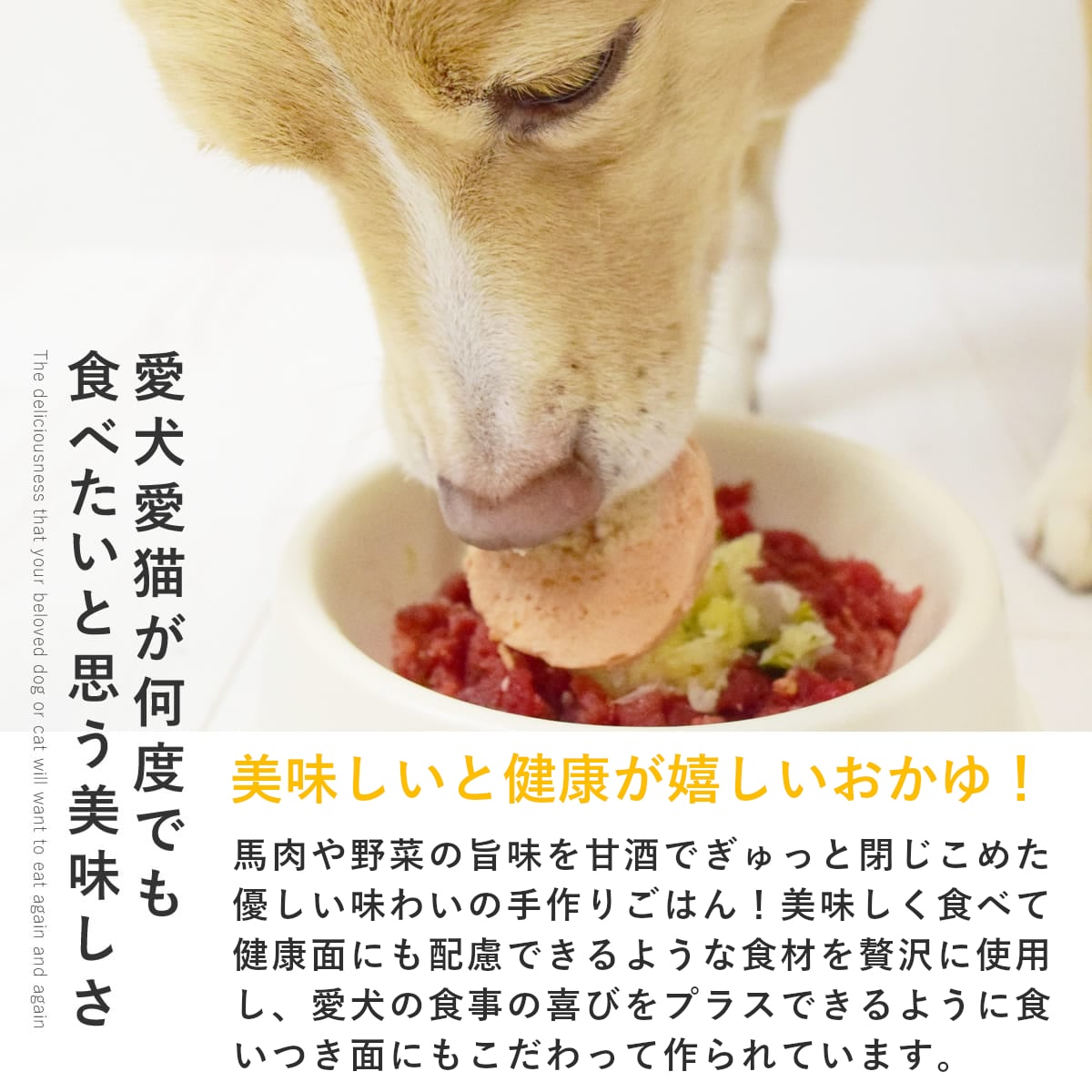 手作りご飯 馬肉と野菜の甘酒おかゆ6個セット 【冷凍】 柔らかい 低リン 腎臓に配...