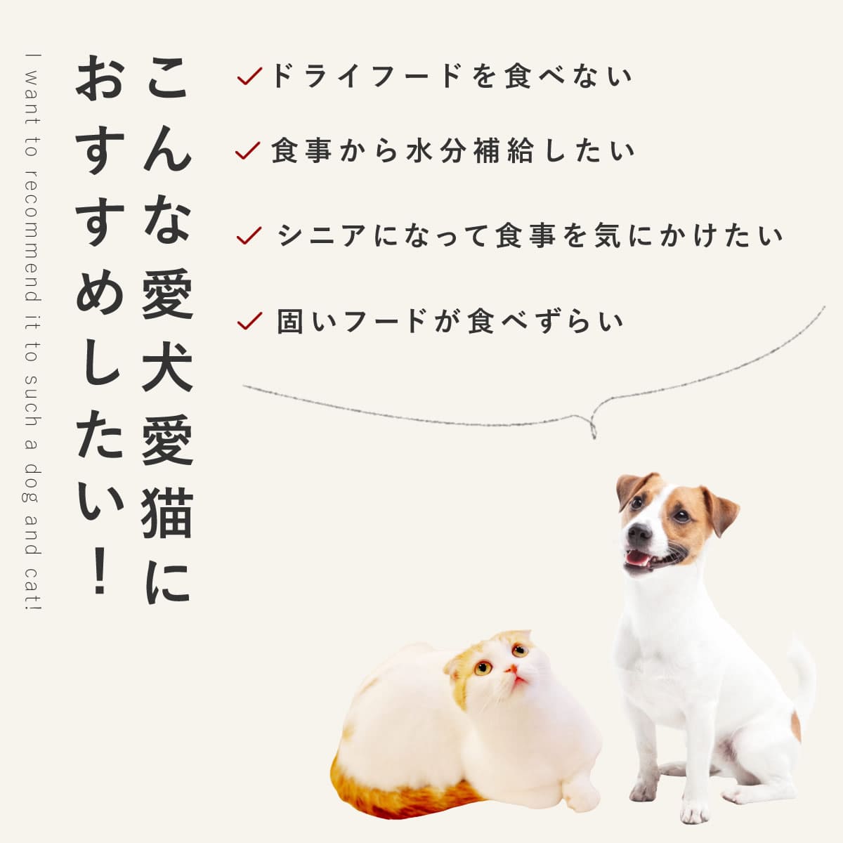 愛犬用 手作りご飯 すき焼き風6個/12個/2...の紹介画像3