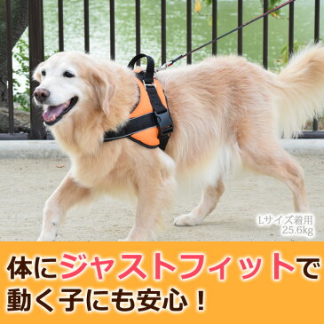 中・大型犬用ハーネス｜首に優しいクッションハーネス サイズL【クッション 負担が少ない 首に優しい オレンジ スポーツ スポーティ ゴールデン ラブラドール バーニーズ フラットコーテッド ドーベルマン 柴犬】　アッシュ　服の上から　老犬 ハーネス 高齢犬 シニア