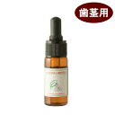 【割引クーポン配布中】100%天然アロマ 歯茎のマッサージオイル【10ml】犬 デンタルケア【アロマオイル】【犬 無添加 アロマ 犬用 犬用品 オーラルケア ハグキ ペット ドッグ】(4)