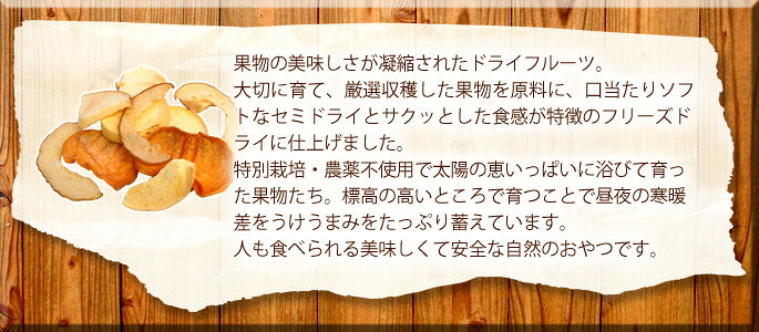 �� ����� ̵ź�� �� ����� �������̼±�μ��� �ɥ饤�ե롼��̵ź�� �ɥå��ա��� ̵ź�åɥå��ա��� �ڥåȥա��� �ڥå����� ���Τ���� ����� �ڥå��� ����
