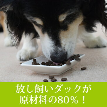 AATU(アートゥー)ドッグ ダック 1.5kg 3袋セット グレインフリー 穀物不使用 オメガ3が豊富 関節 犬用 鴨肉 ドッグフード ドライフード 犬用
