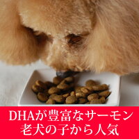 【送料無料&おまけ付】トライプドライドッグフードワイルドサーモン2.72kg2袋穀物不使用子犬グレインフリー乳酸菌穀物フリー高齢犬シニアフード無添加ドッグフード老犬オメガ3犬