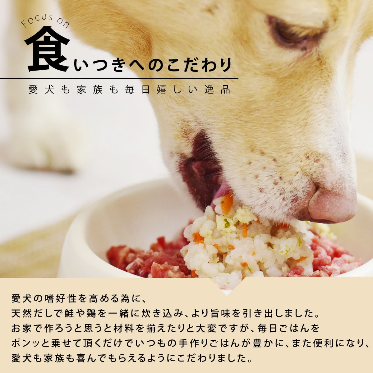 愛犬用 毎日ごはん 鶏と鮭の2種セット (雑穀鶏炊き込み・雑穀鮭めし) 各1袋 【ハウンドカム食堂】 冷凍便 国産 ドッグフード 無添加 手作りご飯 トッピング 犬用お惣菜 消化に優しい お試し 栄養補給 食事から水分 ムネ肉 サーモン シャケ 魚 大型犬 中型犬