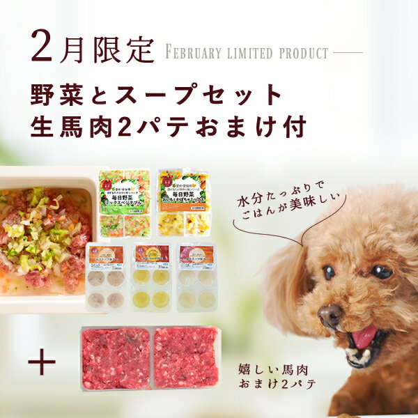 【2月限定】おまけ付き！犬猫用 スープと野菜のセット 　まぜるだけ手作り食シリーズ　毎日スープ　毎日野菜　無添加　安心　トッピング　水分補給　冷凍ドッグフード　フレッシュドッグフード ベジタブル 食物繊維