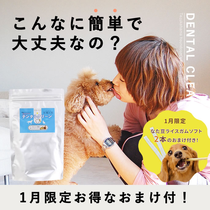 【1月限定】いい歯応援キャンペーン！食べる 口腔内ケア お口ぴかぴか デンタルクリーン 180gお徳用 お..