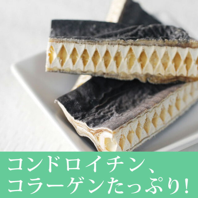 帝塚山ハウンドカム『ヨシキリ鮫コラーゲンガムショート』
