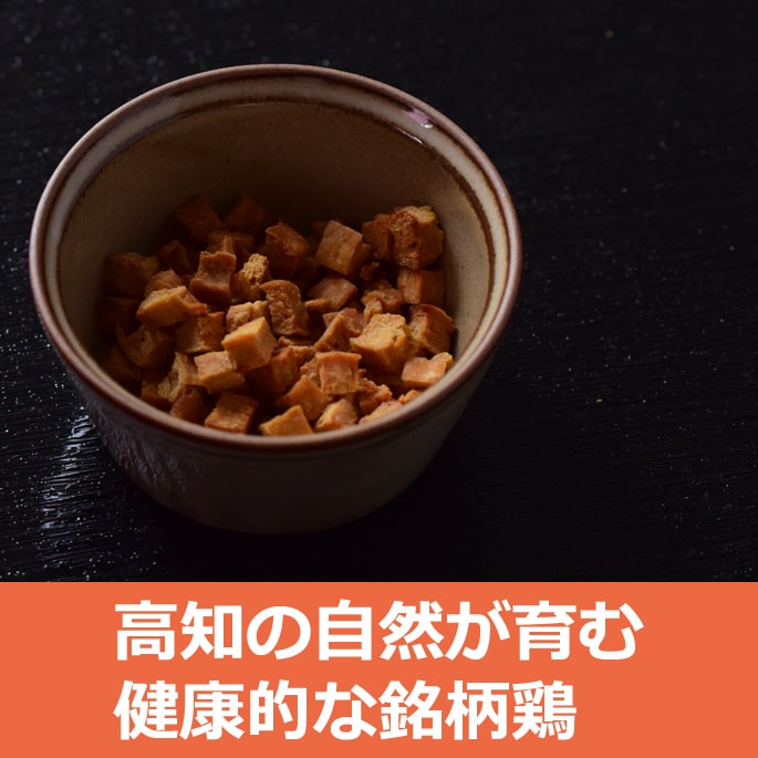 犬 おやつ 無添加 国産 低脂肪 四万十鶏ささみコロコロステーキ 60g×10袋セット+1...