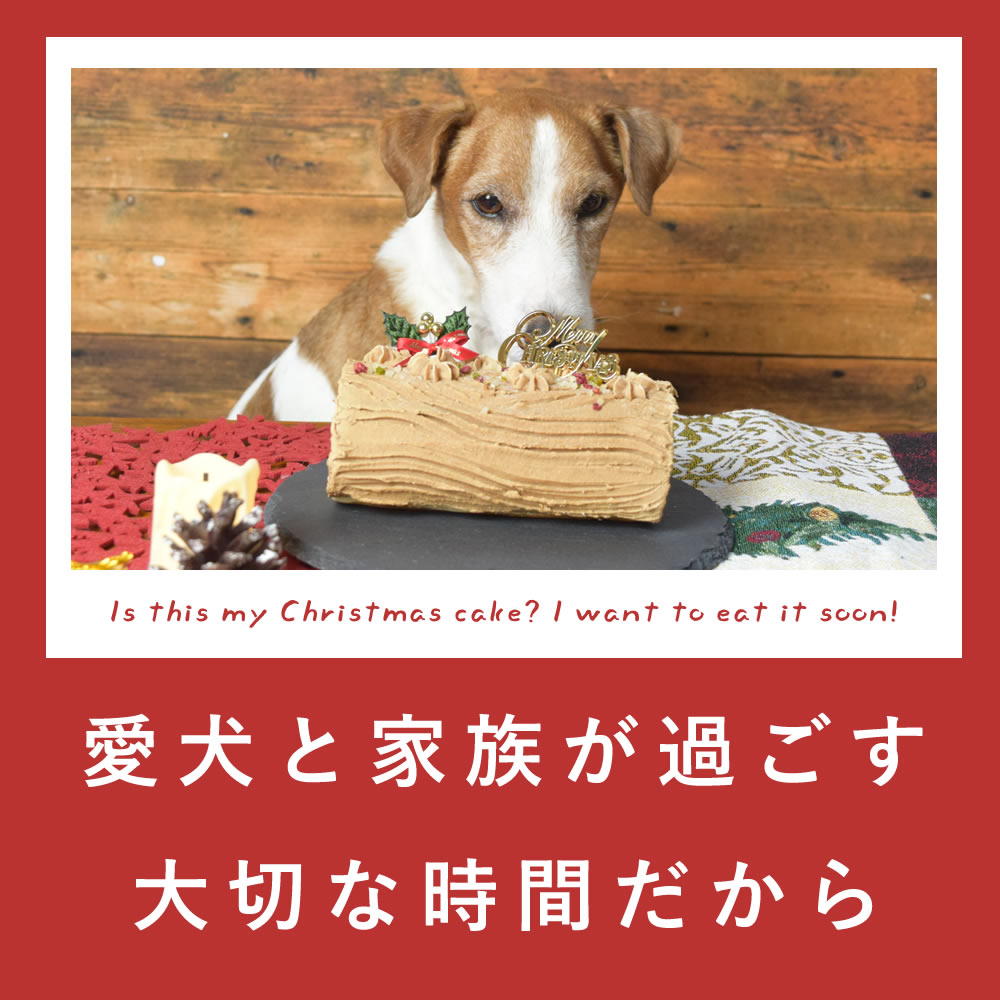【予約受付中】2026年 クリスマスケーキ 愛犬 のブッシュ・ド・ノエル 【冷凍】 犬用 ケーキ クリスマス プレゼントChristmas 無添加 国内製造 さつまいも チーズ 砂糖不使用 生クリーム不使用 犬 クリスマスケーキ ashu-10010313 帝塚山ハウンドカム 楽天市場店 サンプル画像3