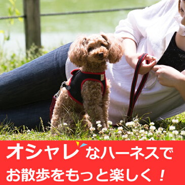 ASHUウェアハーネス&リードセットS 小型犬 子犬 簡単 おしゃれなドッググッズオリジナルブランド ハーネス 犬【犬ハーネス ペット用品 ドッグ トイプードル チワワ 犬用ハーネス 散歩用リード パグ コーギー お散歩】 アッシュ 服の上から 老犬 ハーネス 高齢犬 シニア