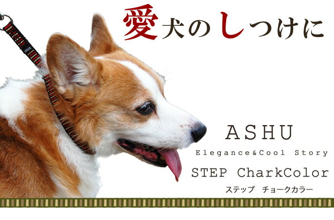 ASHU『ステップカラーMサイズ』