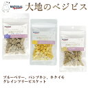ナチュラルハーベスト 大地のベジビス | ブルーベリー・パンプキン・キクイモ 犬用 無添加クッキー おやつ トリーツ