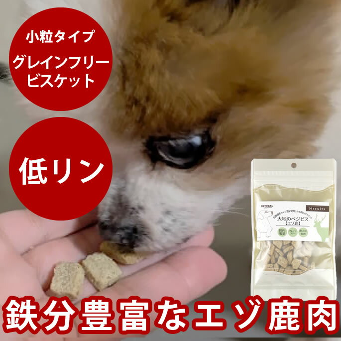 ナチュラルハーベスト 大地のベジビス エゾ鹿45g 低リン 犬用 無添加クッキー おやつ トリーツ ジャーキーを控えたい愛犬に 子犬でも安心