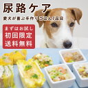 【初回限定送料無料】尿路ケア 手作り ごはん 7品目セット 犬 泌尿器ケア 療法食 を 食べない愛犬に フレッシュ ドッグフード 無添加 愛犬 ドッグ 低カリウ...