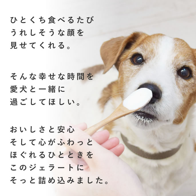 犬 アイスクリーム 濃厚 ヨーグルト リッチジェラート2種6個セット 無添加 国産 手...