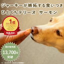 犬 おやつ とっておきの ひとくち テリーヌ サーモン 100g 冷凍 無添加 国産 魚 ジャーキー 腎臓 手作り おやつ トッピング ドッグフード