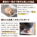 猫缶 FORZA10　ナチュラルグルメ缶 マグロとチキンとパパイヤ 75g　スープ仕立てのウェットフード　猫用缶詰　ウエットフード　プレミアムフード　キャットフード　正規品　無添加　フォルツァ10 フォルザ10　まぐろ　魚 3