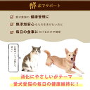 犬用消化酵素 エンザイム 100g サプリメント 老犬 子犬も安全 無添加 天然の消化酵素 乳酸菌 青パパイヤ、リンゴ入り 犬猫 犬用サプリメント ト栄養補助食品 消化酵素 高齢犬 シニア 2