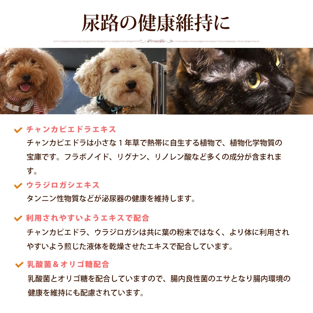 【送料無料】尿路元気 猫犬用200g　サプリメント　チャンカピエドラ　ウラジロガシエキス配合　健康維持に 3