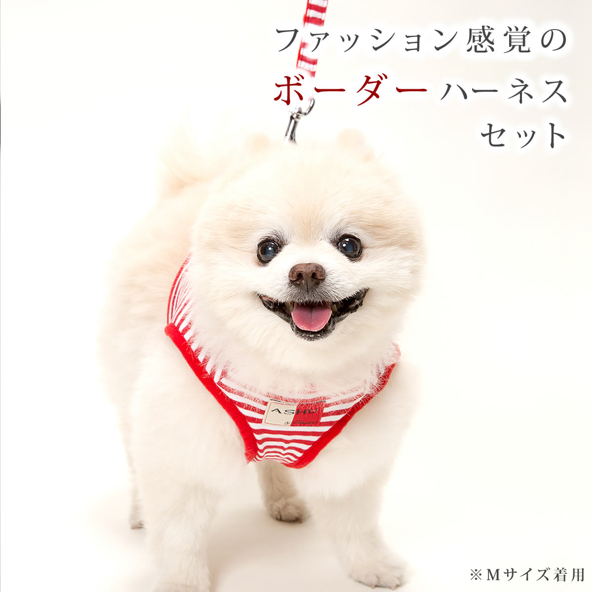 ハーネス リードセット ASHUウェアハーネスボーダー リードセット L シュナウザーシーズ ベスト型ハーネス 器官 首が痛くない ソフトメッシュハーネス通販　アッシュ　服の上から　老犬 ハーネス 高齢犬 シニア おしゃれ 一体型