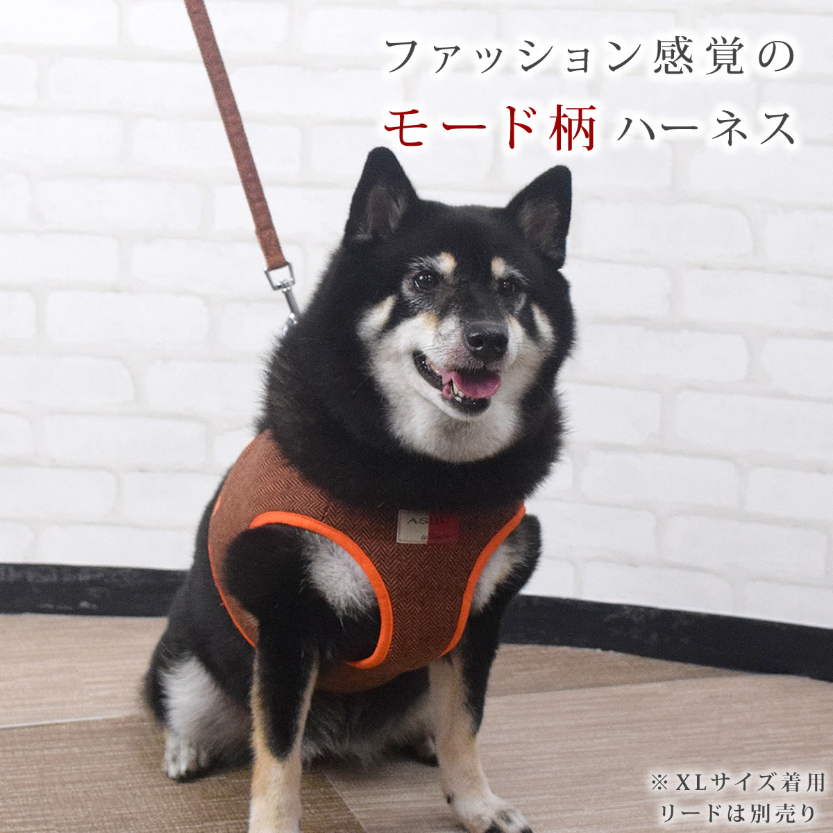 ASHUウェアハーネス モード XLサイズ(中型犬用)【リードは別売り】