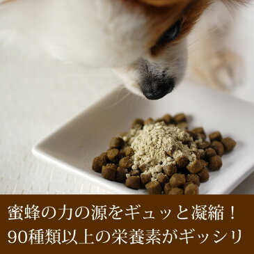 【11月限定】20％増量！【旧シーポランマックス】サプリメント みつばちパワー元気150g 犬 猫 老犬 みつばちパワー元気 酵素 ビーポラン ドッグフード高齢犬 シニア ふりかけ 乳酸菌 プロポリス シニア犬 ドッグ【a0003】