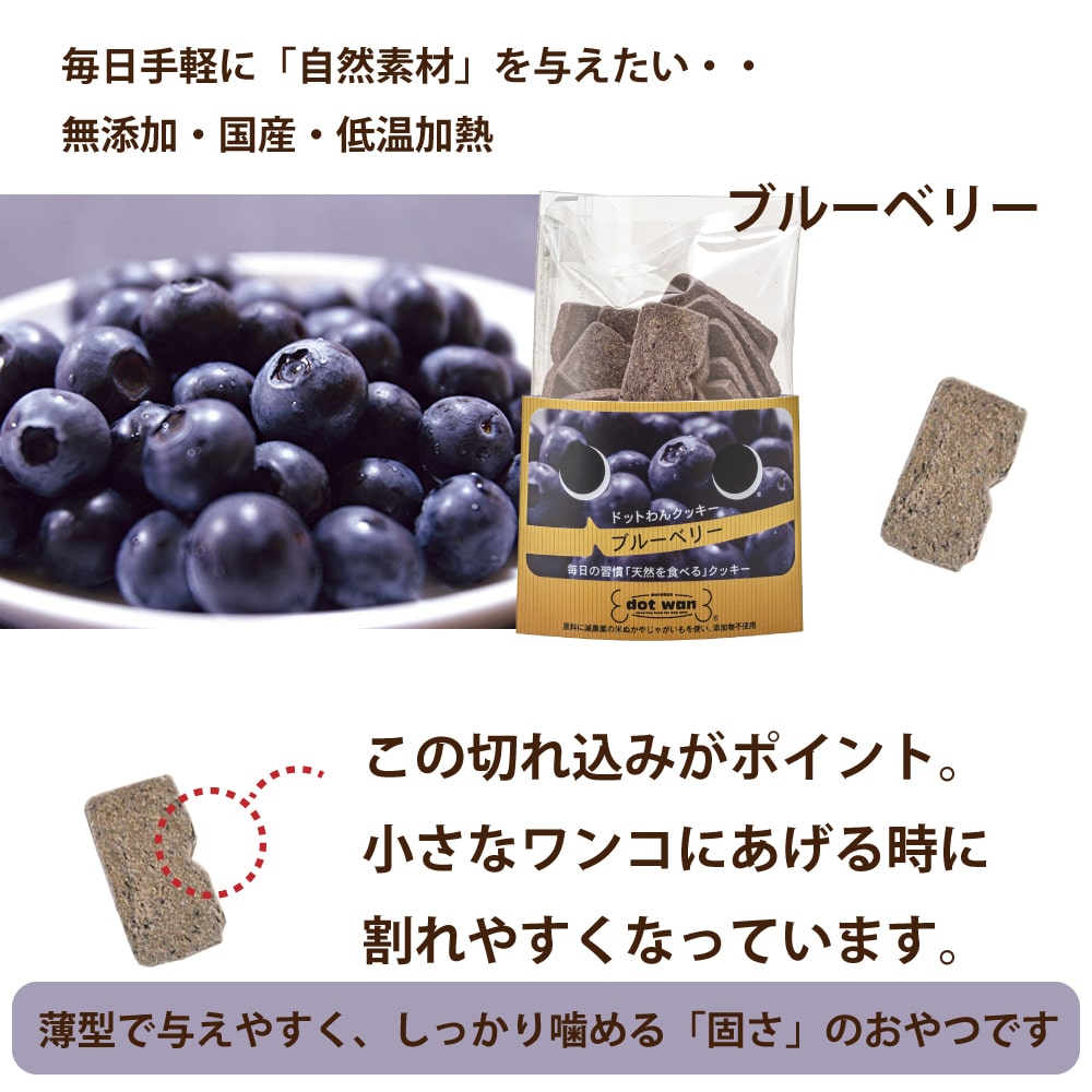 【割引クーポン配布中】ドットわん フルーツクッ...の紹介画像2
