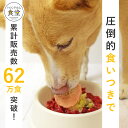 腎臓に優しい低リン7食Aセット 犬用 ハウンドカム食堂 犬用手作りごはん ドッグフード 冷凍商品 7品目セット　冷凍ごはん　冷凍ドッグフード　フレッシュドッグフード 2