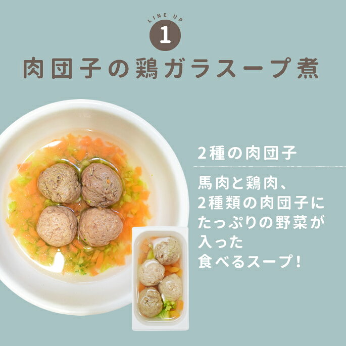 【夏季限定】水分補給セットA【冷凍便】犬 猫 夏 水分不足 栄養 トッピング 食いつき シニア 子犬 ごはんに 手作り食 手作りごはん 犬用手作り ドッグフード ashu-10009162 帝塚山ハウンドカム 楽天市場店 サンプル画像2
