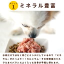 犬 生肉 国産鶏 ネック骨ごとミンチ3kg【冷凍】 手作り食 安心の国産 生骨 約40gの小分けトレー72個セット イヌ 肉 ペットフード 高齢犬 シニア シニア犬 犬用品 餌 高齢犬 シニア 3