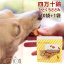 【割引クーポン配布中】犬用おやつ|四万十鶏 ひとくちささみ 80g×10+1袋セット 無添加 国産 低脂肪 まとめ買いで1袋がお得 鶏肉 チキン ジャーキー 食いつき抜群 無添加ジャーキー 安心おやつ 低カロリーおやつ 高タンパク ご褒美に最適