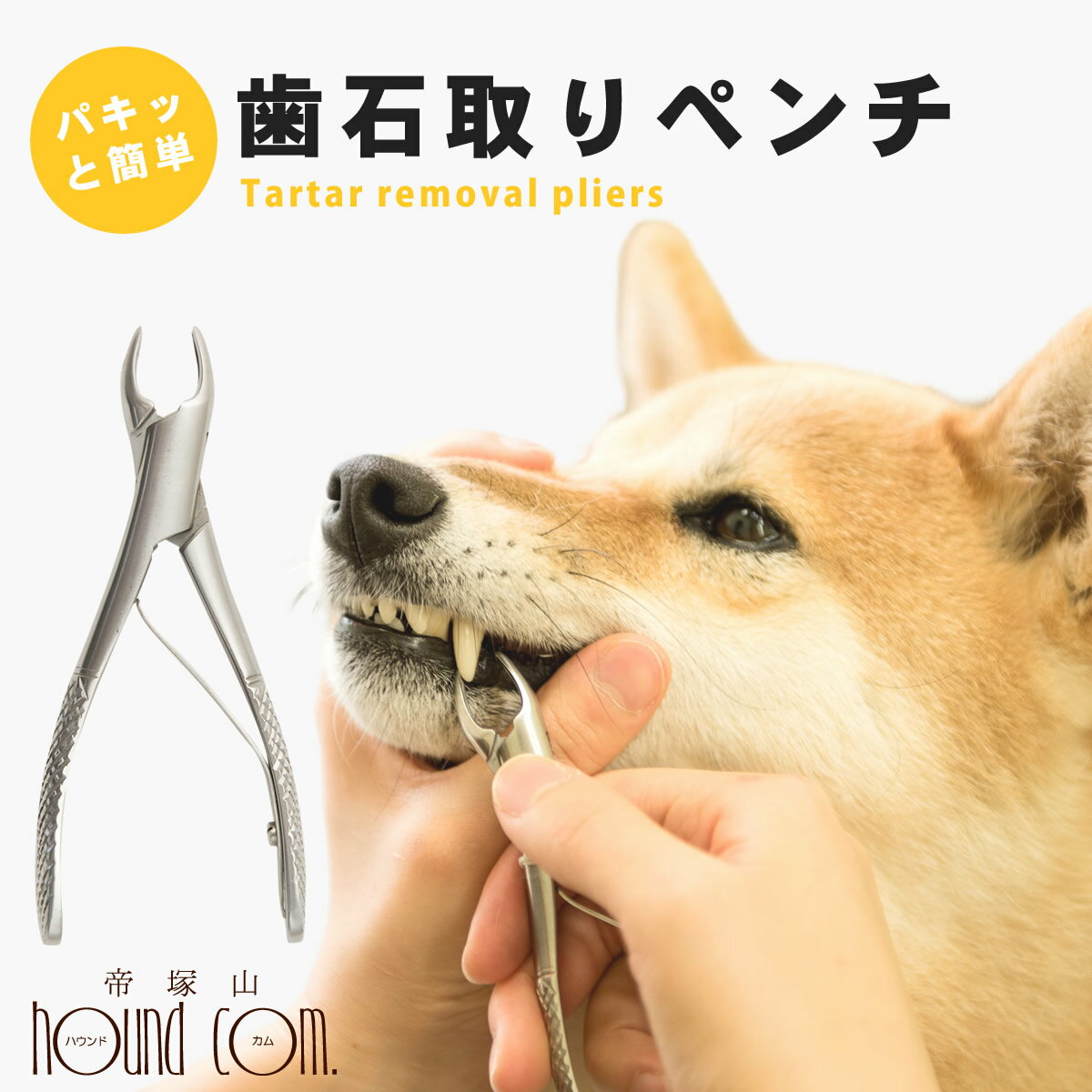 帝塚山ハウンドカム 歯石取りペンチ 犬用 猫用 ステンレス 全長11cm 第2種動物用医療機器製造販売許可 26製販療2第10…