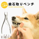 帝塚山ハウンドカム 歯石取りペンチ 犬用 猫用 ステンレス 全長11cm 第2種動物用医療機器製造販 ...