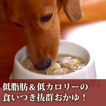 愛犬の安心レトルトごはん 低カロリー鮭の芋がゆ 100g×12袋セット 犬用レトルト ウェットフード 手作り食 低カロリー 低リン 鮭 魚 粥 無添加 国産 おかゆ ドッグフード ドックフード dog 低脂肪 さつまいも
