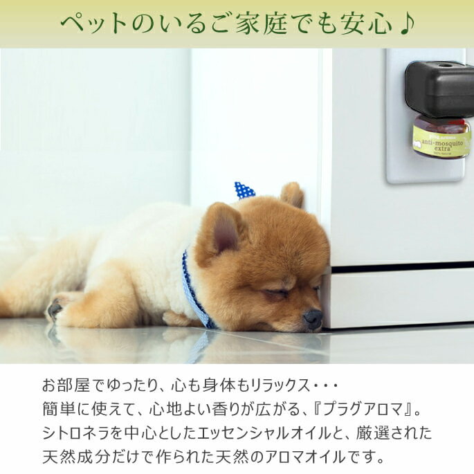 プラグアロマ アンチモスキートエクストラ セット ※プラグの色黒にリニューアルし...